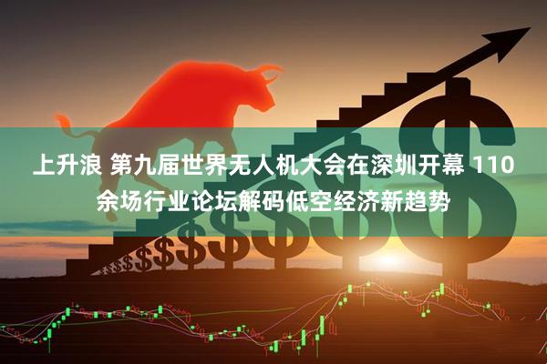 上升浪 第九届世界无人机大会在深圳开幕 110余场行业论坛解码低空经济新趋势