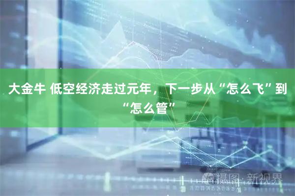 大金牛 低空经济走过元年，下一步从“怎么飞”到“怎么管”
