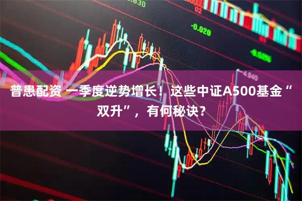 普患配资 一季度逆势增长！这些中证A500基金“双升”，有何秘诀？