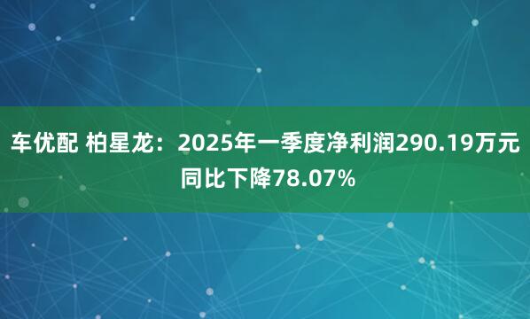 车优配 柏星龙：2025年一季度净利润290.19万元 同比下降78.07%