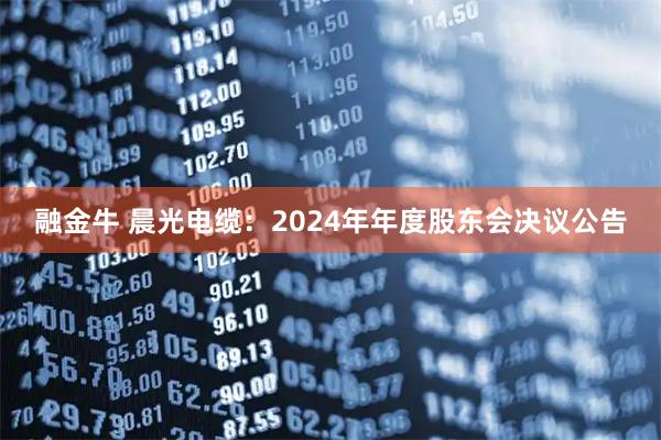 融金牛 晨光电缆：2024年年度股东会决议公告
