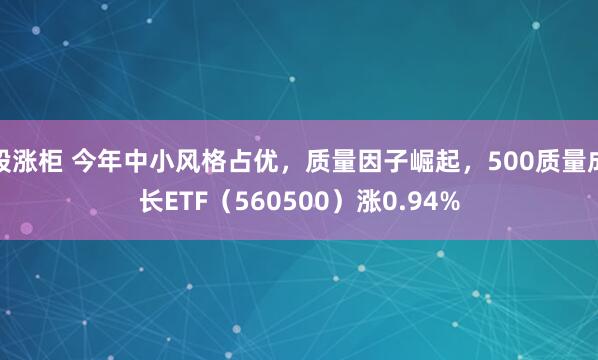股涨柜 今年中小风格占优,质量因子崛起,500质量成长ETF(560500)涨0.94%