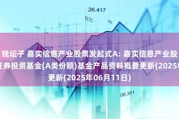 钱坛子 嘉实信息产业股票发起式A: 嘉实信息产业股票型发起式证券投资基金(A类份额)基金产品资料概要更新(2025年06月11日)