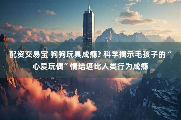 配资交易宝 狗狗玩具成瘾? 科学揭示毛孩子的“心爱玩偶”情结堪比人类行为成瘾