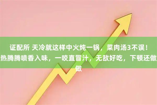 证配所 天冷就这样中火炖一锅，菜肉汤3不误！热腾腾喷香入味，一咬直冒汁，无敌好吃，下顿还做